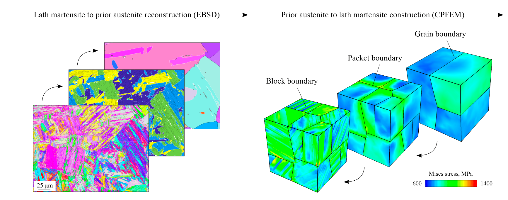 SEM and modelling images